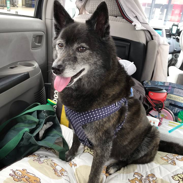 896f96e3 9c3f 471a 9aad 79c744024f77 1559743305833