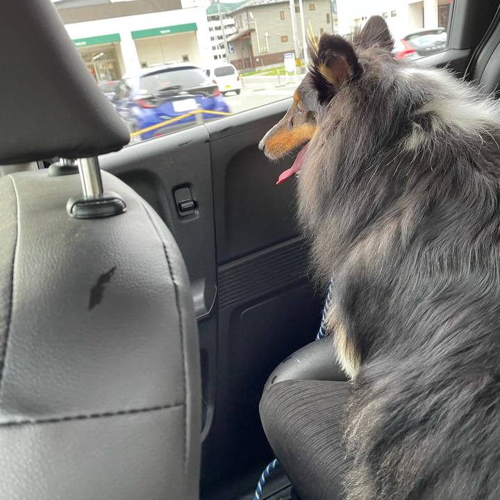 896fc7f1 851e 41a4 9368 e062991a7f5e 1621746394211