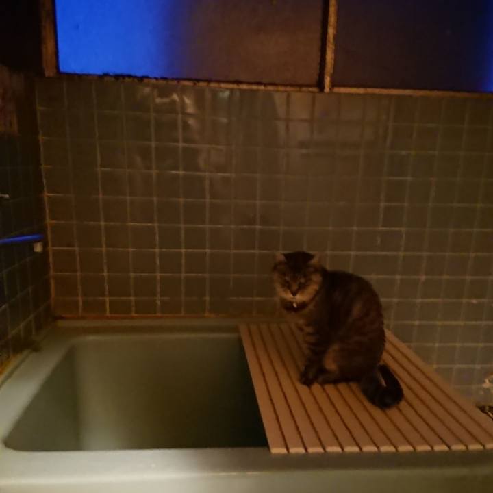 896fcea6 eaf1 4e6c b9cf 360923a89081 1572164304510