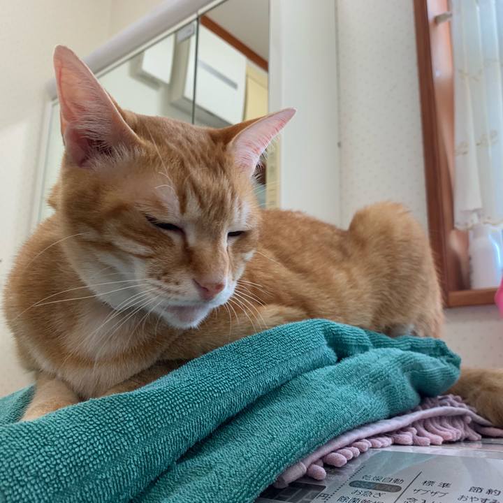 896fe0c2 a8f1 4d08 8f8c 526d964aadc4 1556931939393