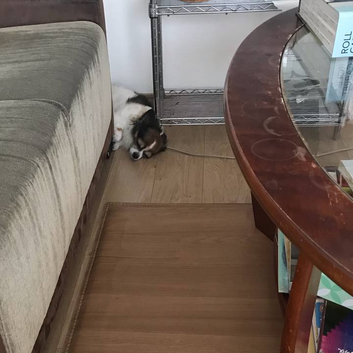 896ff170 3da5 4b00 b8b5 775b2fd2e62f 1596597981962