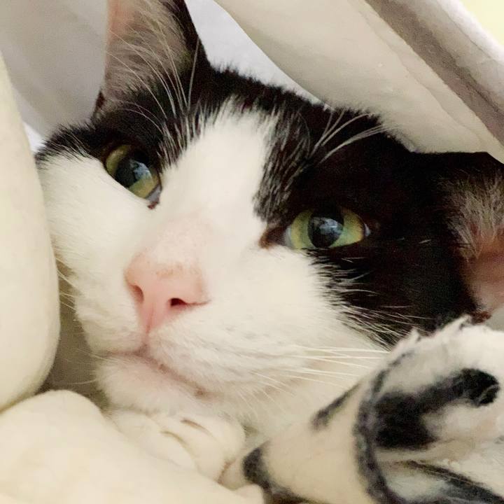 896ff337 cf54 4bed 86dc 85192d33986e 1550541532473