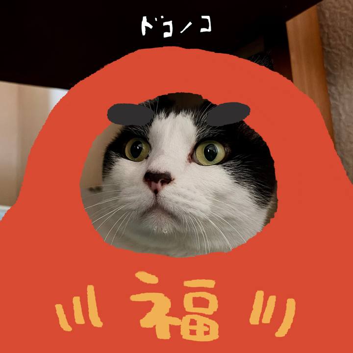 897004cf 3702 4489 a932 189d26b91c00 1772375214632