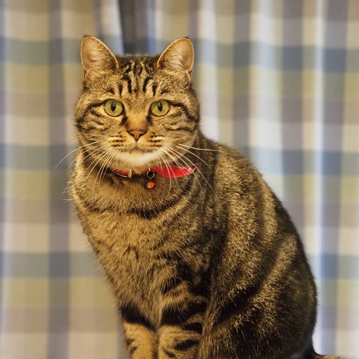 897021b3 e471 4912 b86e b9487c2f82d2 1608618114929