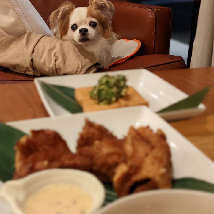 89702469 4545 44fa 8621 250634a1261c 1667480711945