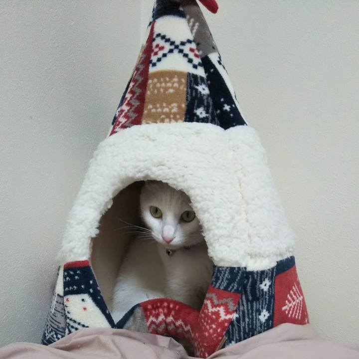 89703760 dc5b 48d8 bbbe f536b7419212 1641779311498