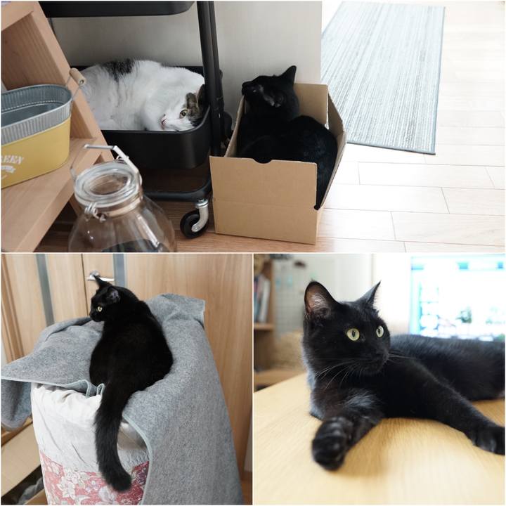 89703832 707c 46dc 88cd faecb0aa413e 1565880311245