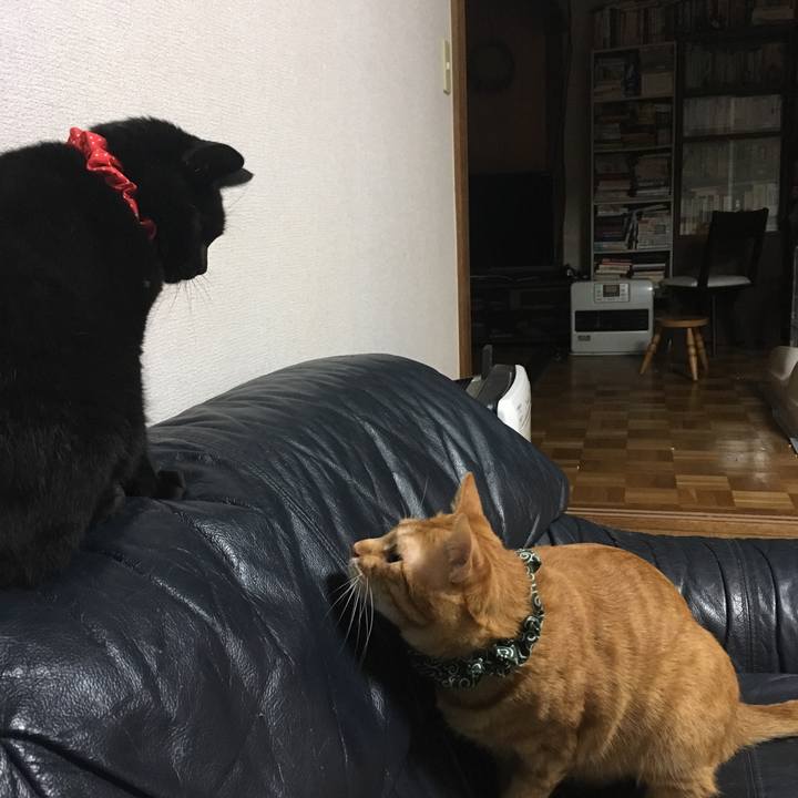 897081db b7da 47da a7bc ce8e9830c421 1537443019805