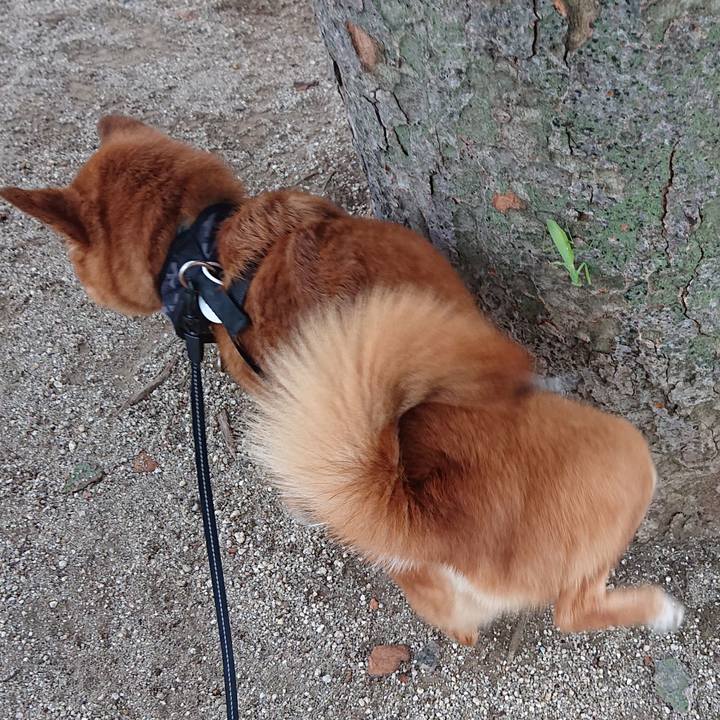 8970cb13 e1a6 4581 aade 8bf2307eeec7 1566945559397