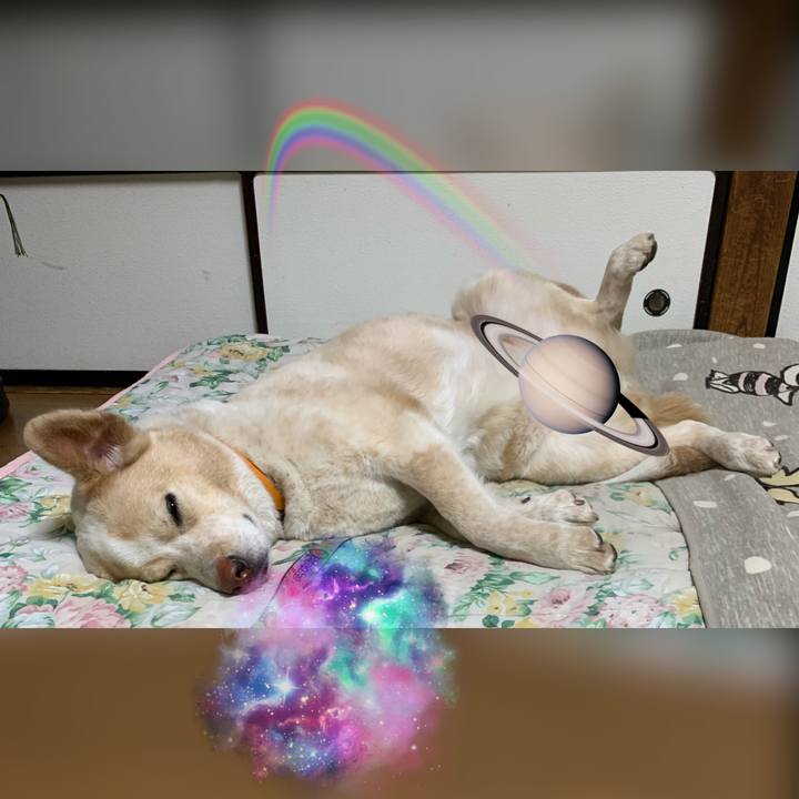 8970cbfe 0d9a 4493 abfa d0959090cfcc 1585141661517