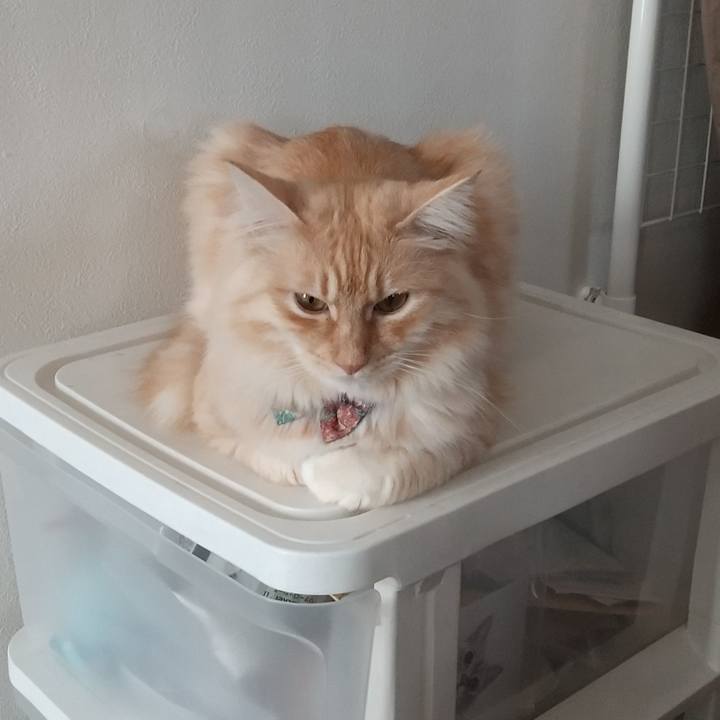 8970e8ad 52af 4a52 8006 7559ca40c318 1643507736877