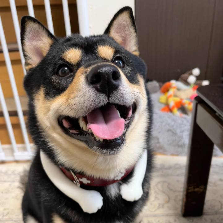 8971349b dbda 4e2b bcdc 7faf4c18c1c7 1725574960649