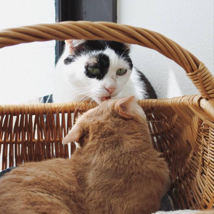 89715679 2a43 4557 a505 0a7c25ac1a76 1594516730431