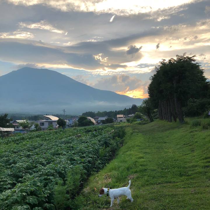 897196c8 6ef5 4e75 944c b5e2eb624cc1 1530182174053