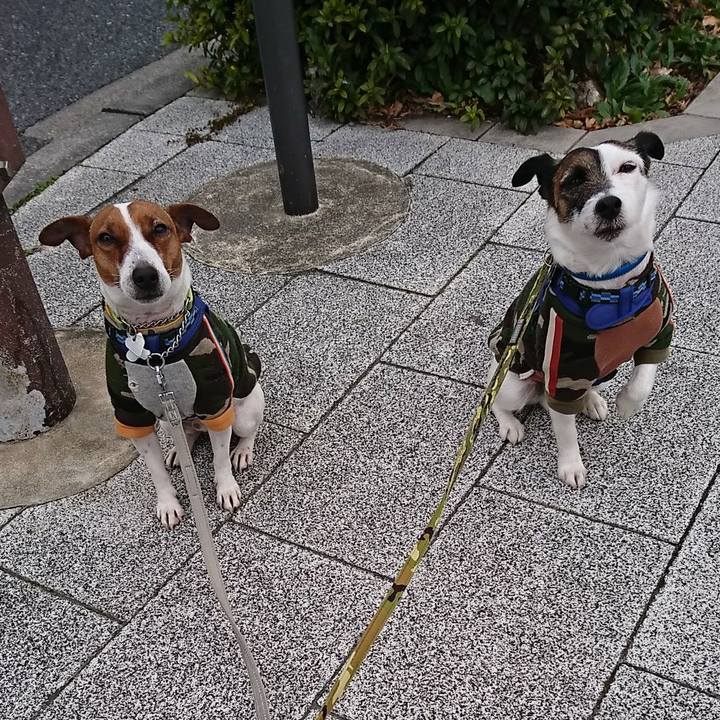 89719ce9 d04e 46e5 8555 e09aac49f650 1581288533235