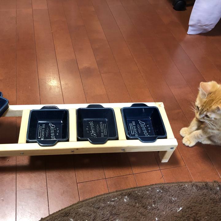 8971a6d8 108b 43f8 a3f6 f5f9429bc92d 1564401415636