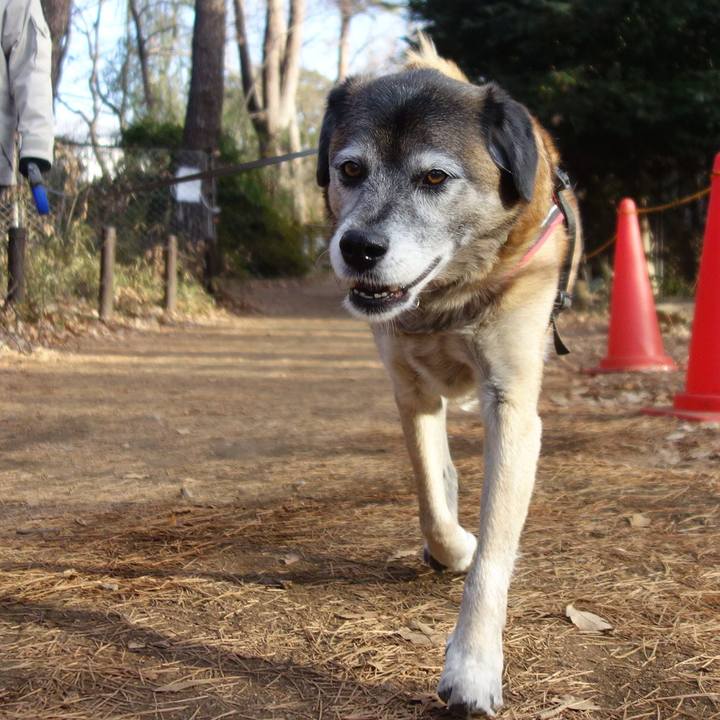 8971dbb7 88d3 4045 9a20 1588120694df 1547945995224