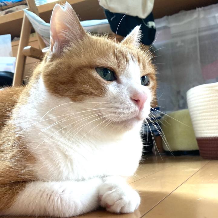 8971ea7d a2de 4d35 bf30 31f12539472d 1762577764762