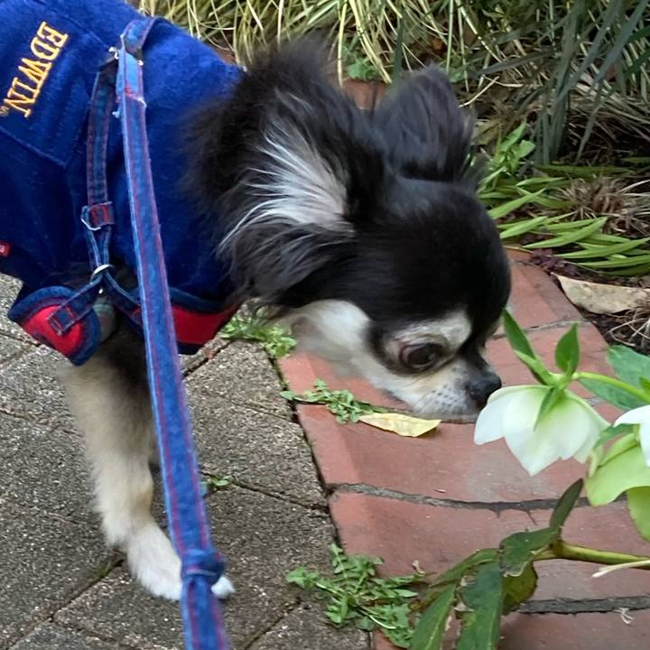 8971f909 ccfc 4746 919e 84ccb04ac7b9 1711899802237