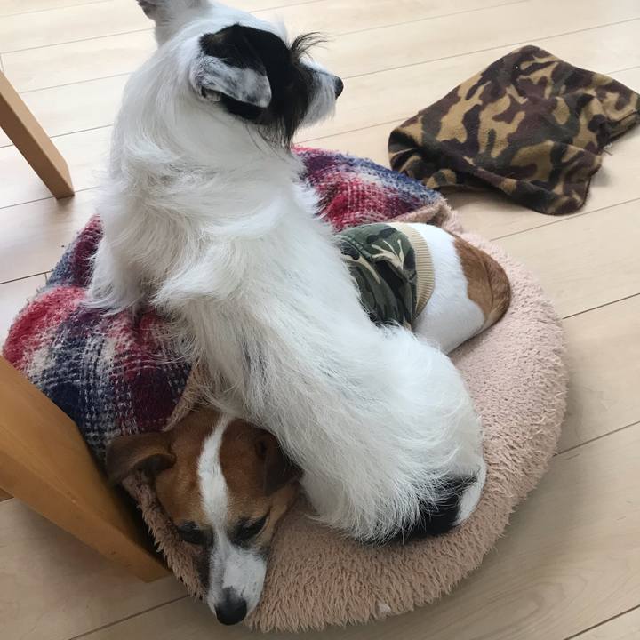 89720a14 1b7b 402f 8f7a 4d2962682d41 1537844405486