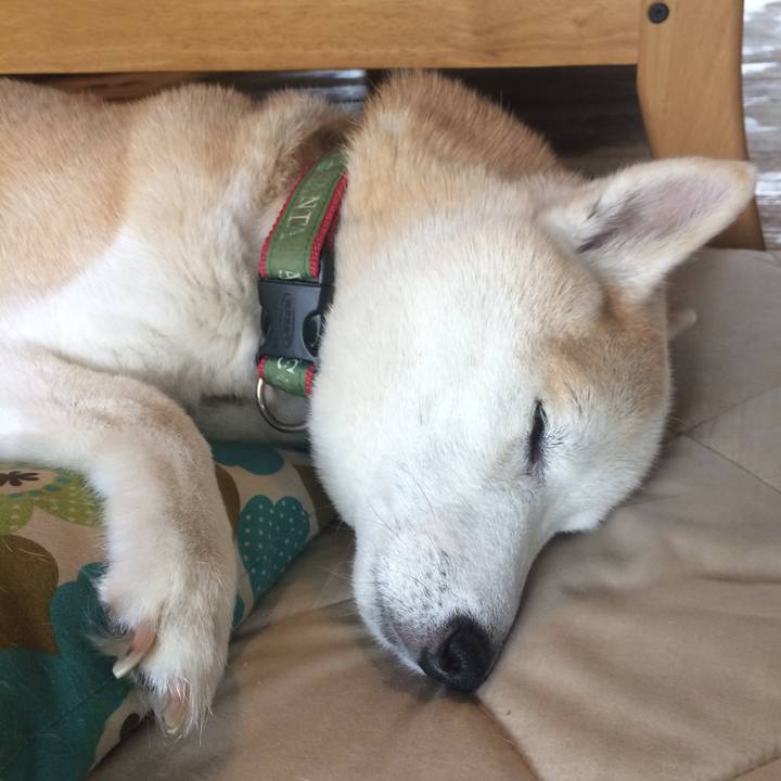 8972340a 093a 4d50 9568 741f44779a16 1562652090145