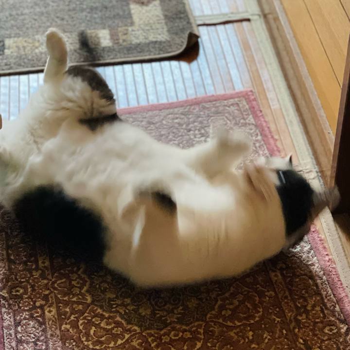 89729efb 2286 4e29 89ae 0284c9df78a5 1649813387536