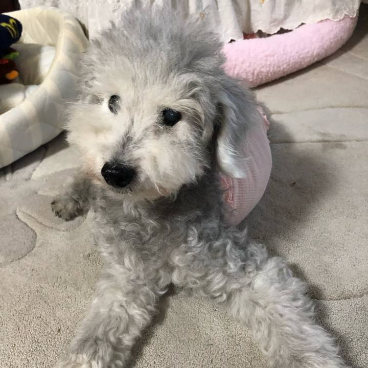 8972a01e e413 4c41 aa9b 56253870abf6 1656894186656