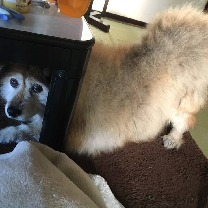 8972a837 8c97 4706 a478 edcb14d9af0c 1547809999374