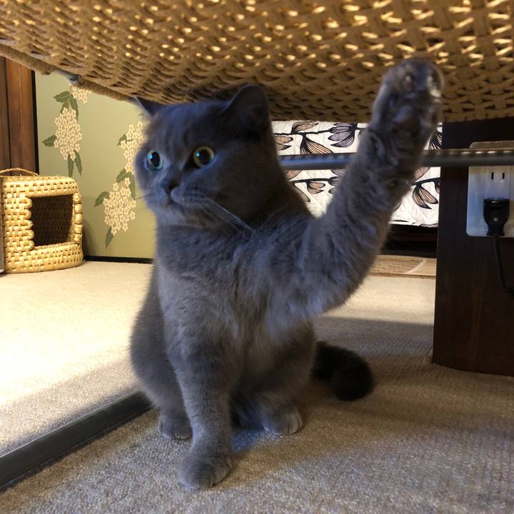 8972b2c4 a9f1 4988 b7f3 986a3e3d9a11 1589630759560