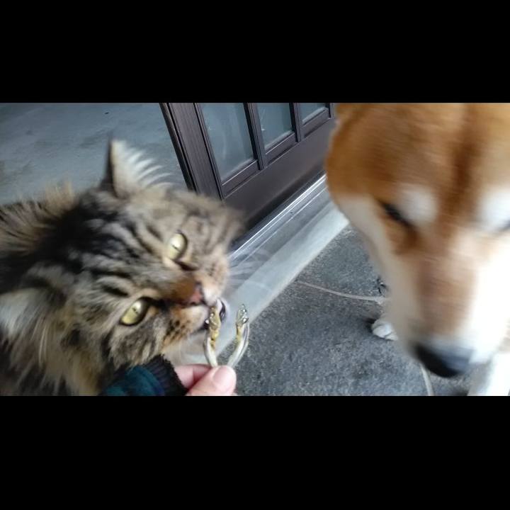 8972d750 3a10 45b4 a2c6 1b7378473ffe 1644189638762