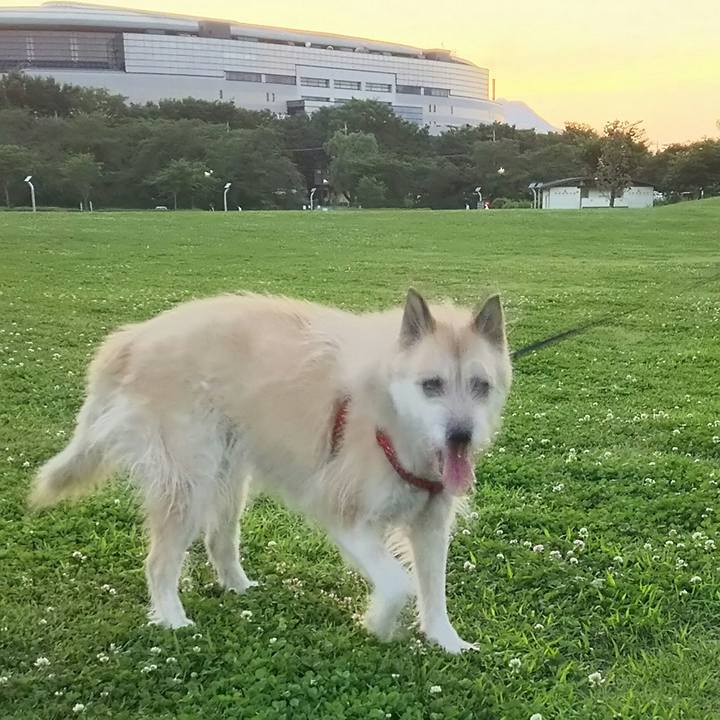 8972d824 1edc 456e a295 9ffb9cb2e718 1529834762396