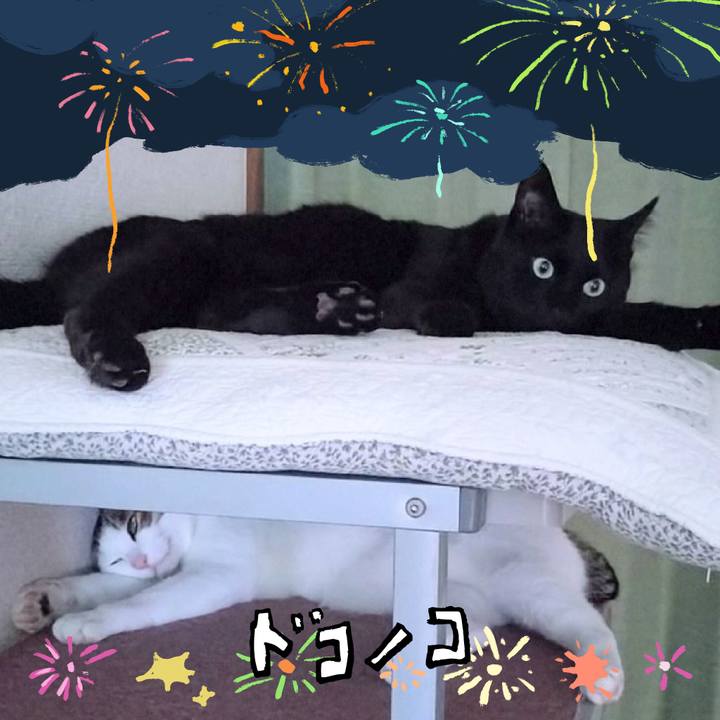 8972d91e f50c 47a6 b878 3ebe28262fa7 1723344705855