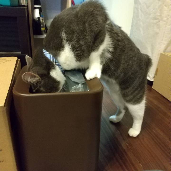 8972df29 a07e 40cb a552 a126e42767c5 1605735561874