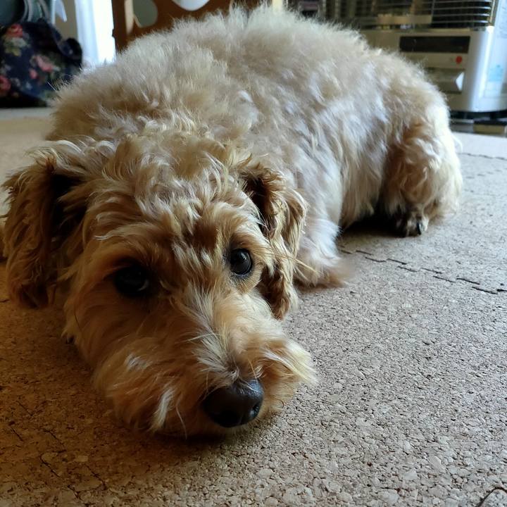 8972e9cc 3e69 426f 933d 28accf435805 1593473160550