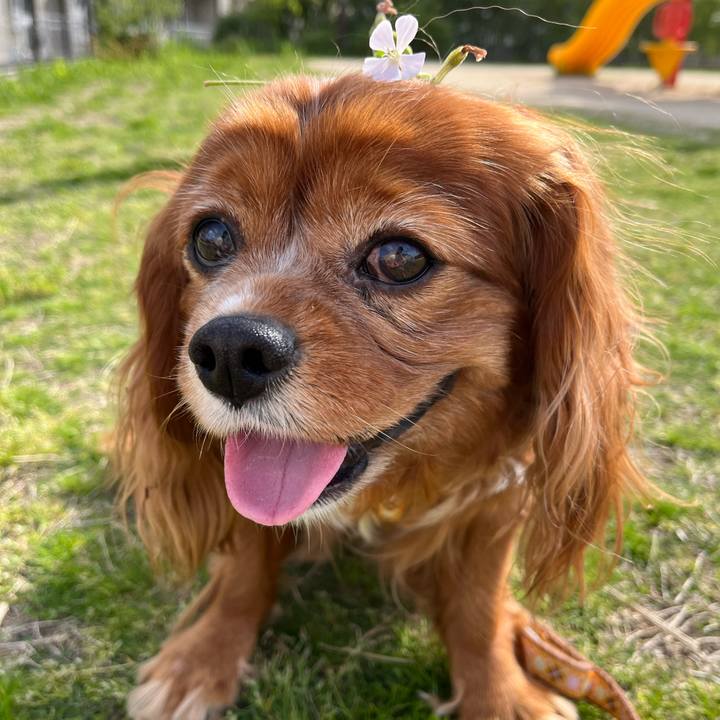 89731a6a a1e0 44e3 a166 bb15b95983e0 1683117198063