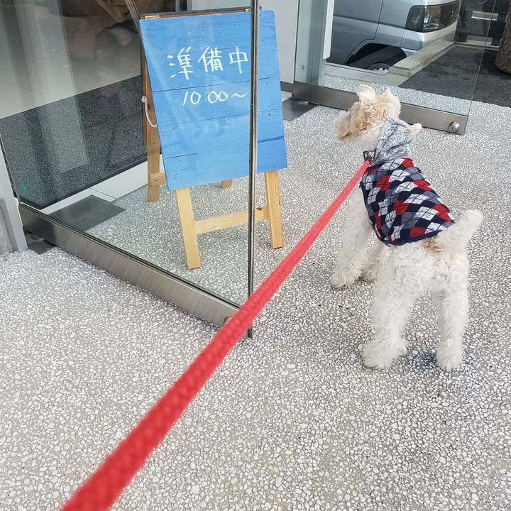 89731ed1 c836 4680 8037 b609fd2f7e46 1546148448807