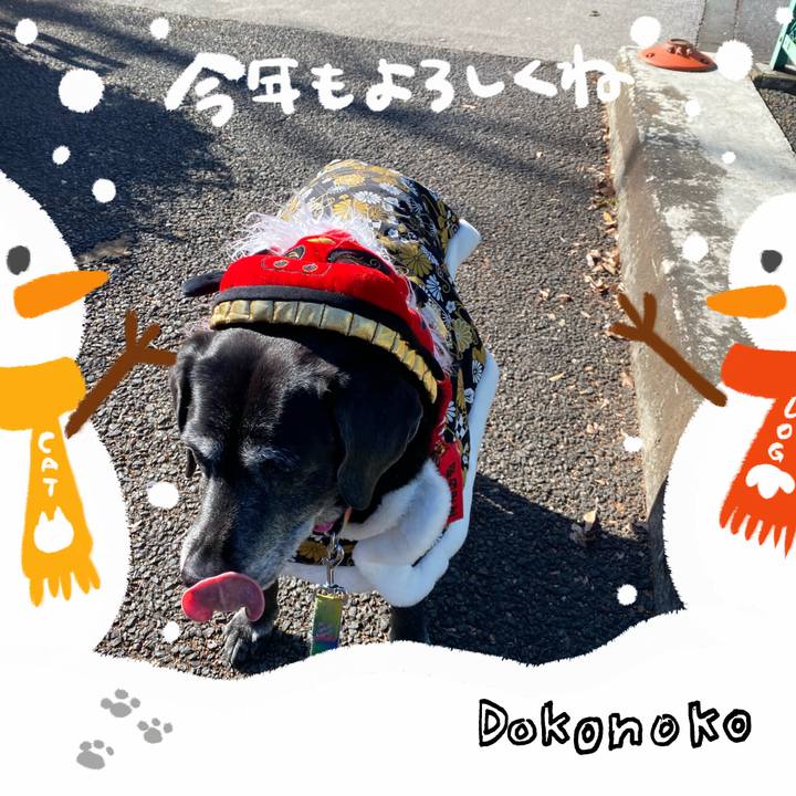 89733300 bca6 41e5 99e1 8165d3736ff8 1704081603488