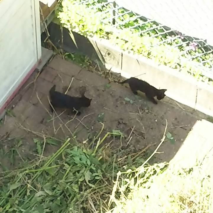 8973407a 3a03 494b aeb5 bda7eb9d1fec 1527989275382