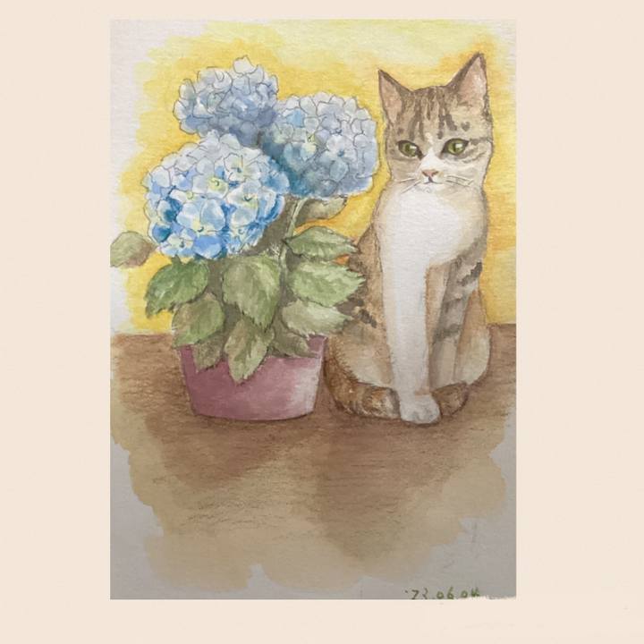 8973408b dde0 468b afa1 4c4b516113d2 1685866142141