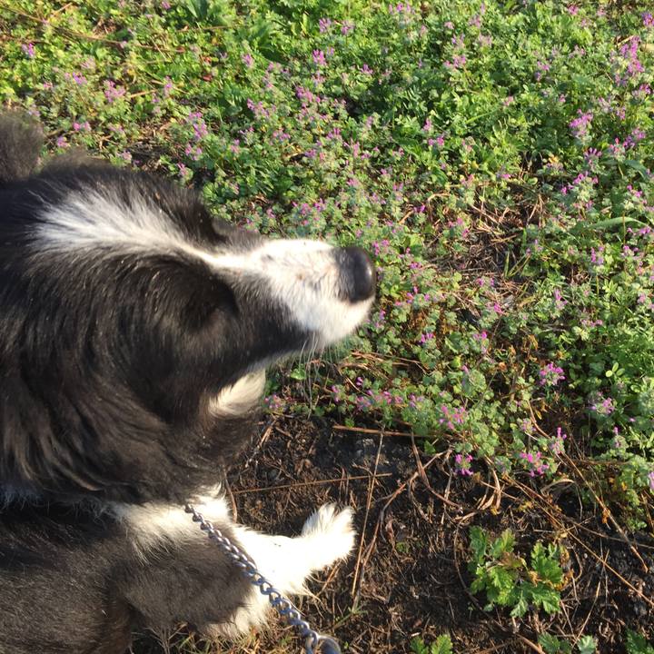 89734ced a665 4f70 9f7f 1f70a6634b3d 1541809967759