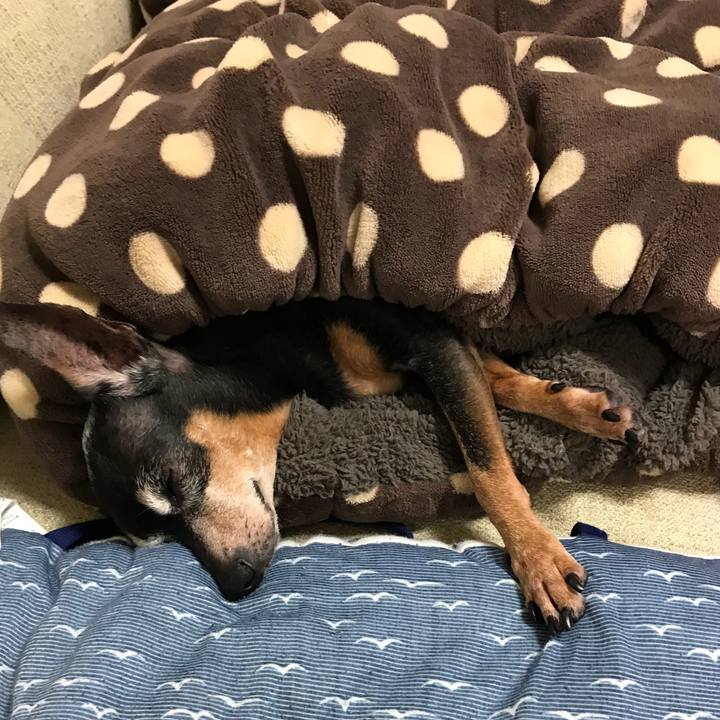 897350bf a0ac 46f5 89b4 9399cd9ca449 1524913577967