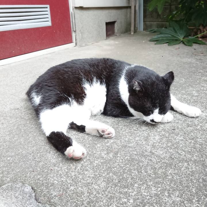 89737093 7bb5 44db b83b 232a61f3cfec 1624430310356