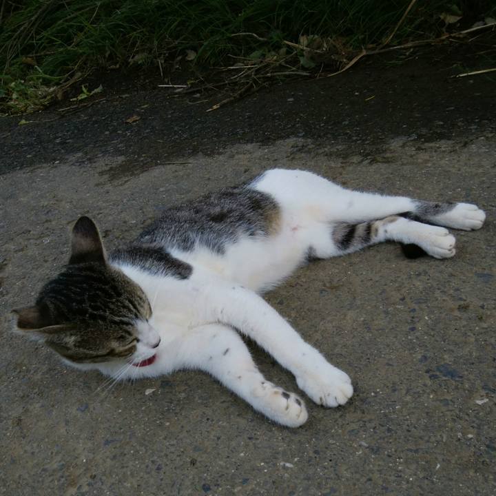 8973b339 34b2 4a6d 896b eb6db9a9d421 1535069599732