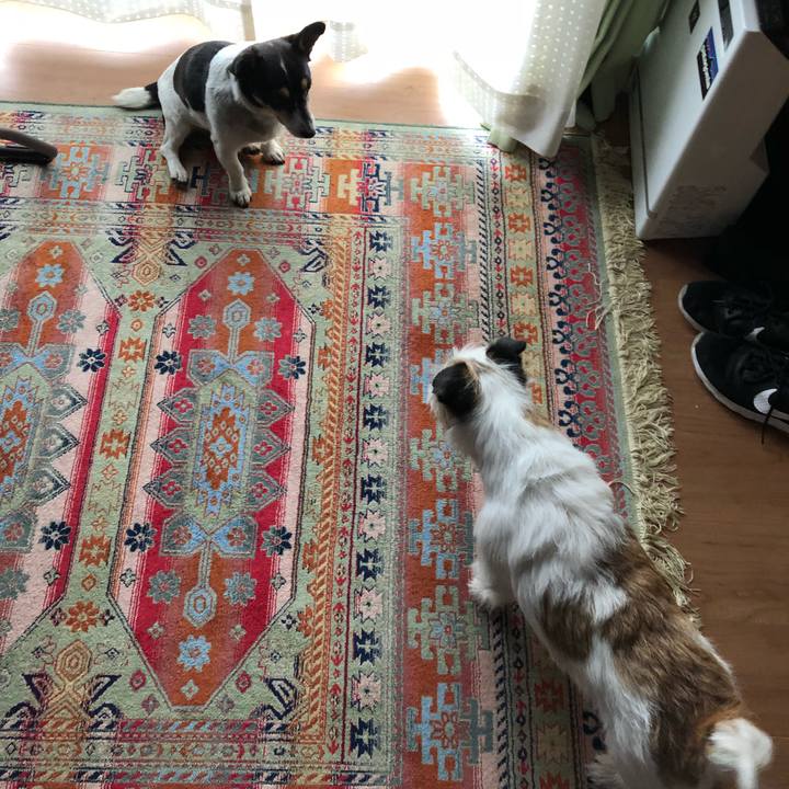 8973ddd2 e8d4 4598 b1be ed38c240617d 1525840696680