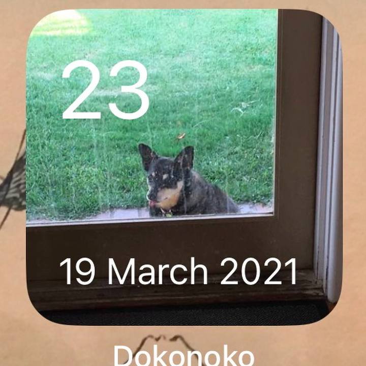 89743eec 1ed4 4772 9ea3 6dcd5b59dcc5 1774233309713