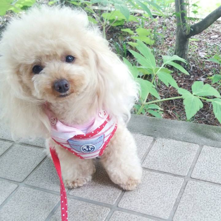 897447a8 3059 466f a6a0 bc1a5314f571 1529717053549