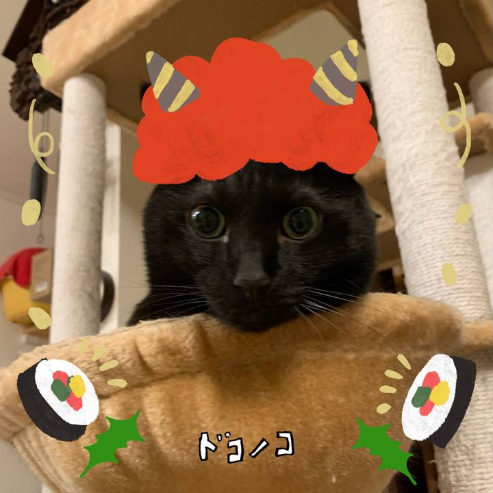 897450c4 3eb8 46df 839f b129fd3ff0b2 1706890476199