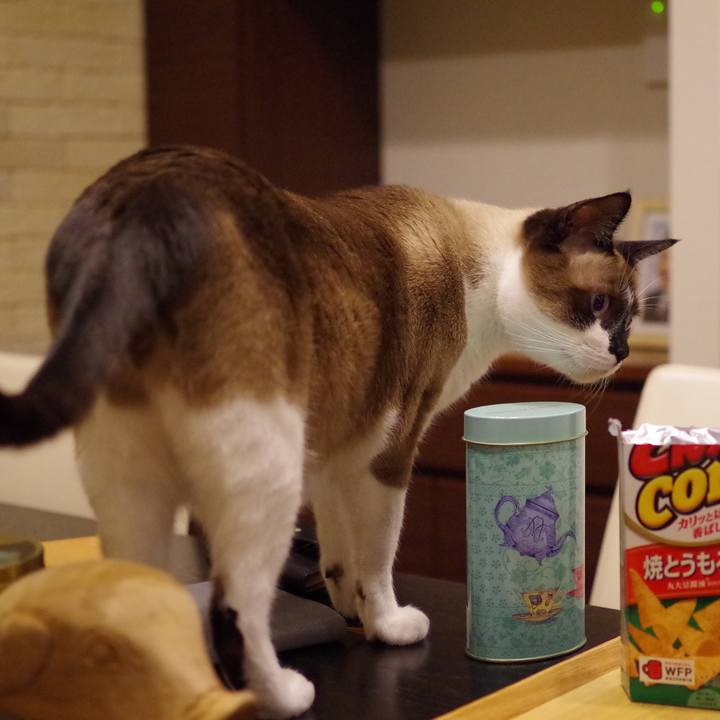 89748269 7b1e 4ee6 859d 9e48c4fdcb77 1520773244650