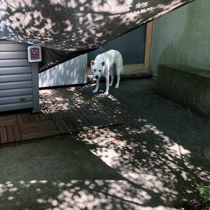 89748876 ee07 4f58 81c7 a3f080d52d87 1588047014327