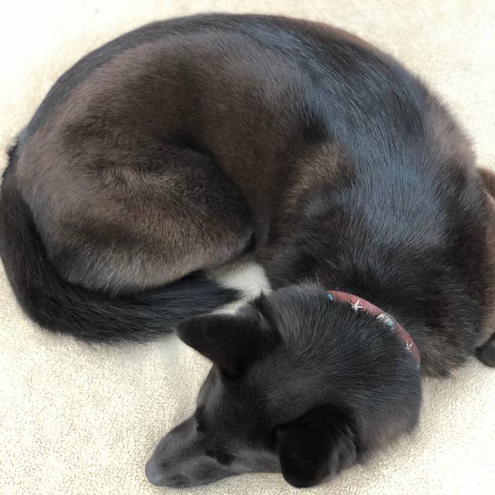 89749082 20d6 45e6 9da6 5449081b2d53 1588633267293